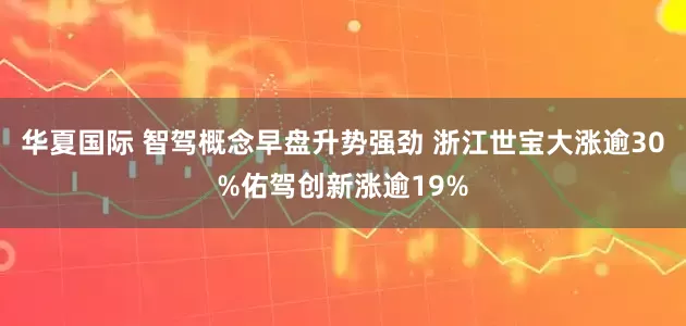 华夏国际 智驾概念早盘升势强劲 浙江世宝大涨逾30%佑驾创新涨逾19%