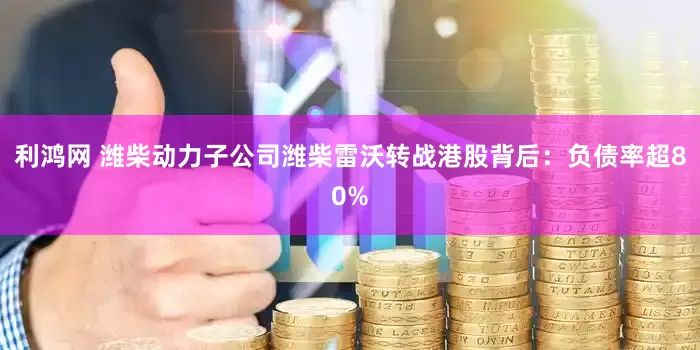 利鸿网 潍柴动力子公司潍柴雷沃转战港股背后：负债率超80%