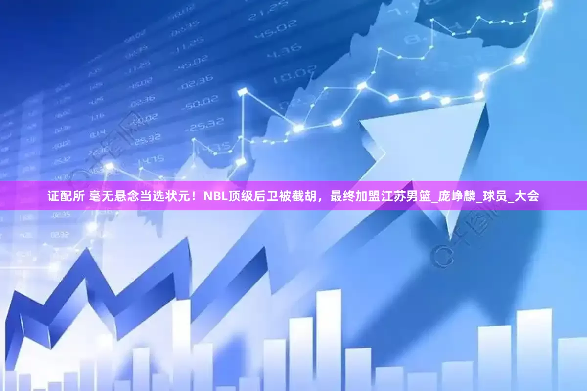 证配所 毫无悬念当选状元！NBL顶级后卫被截胡，最终加盟江苏男篮_庞峥麟_球员_大会