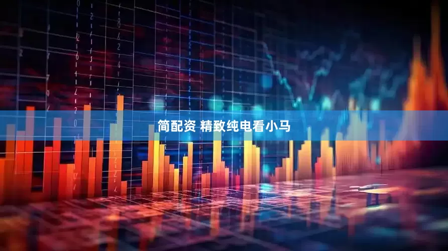简配资 精致纯电看小马