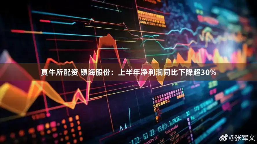 真牛所配资 镇海股份：上半年净利润同比下降超30%