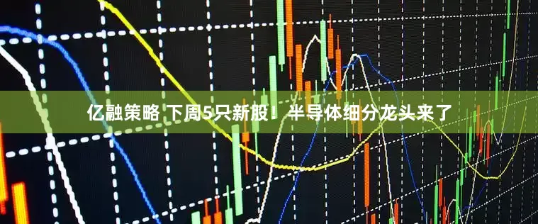 亿融策略 下周5只新股！半导体细分龙头来了