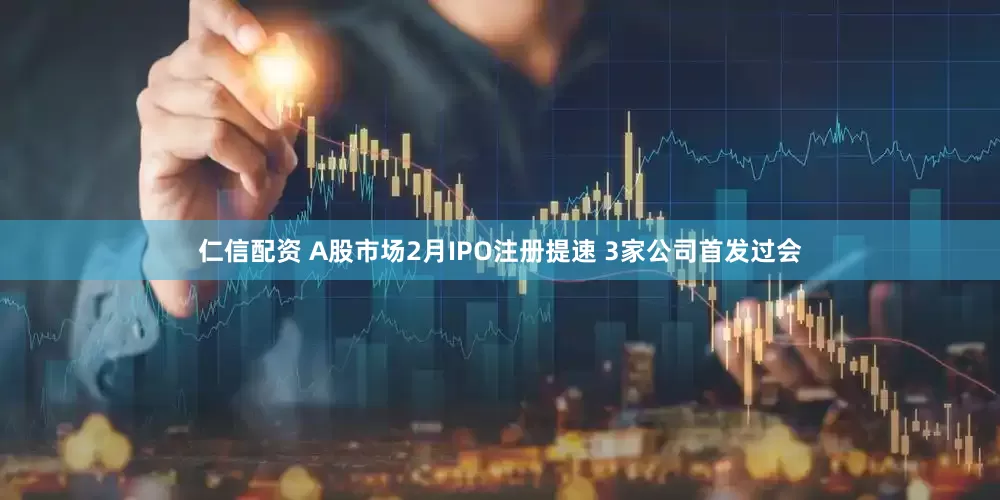 仁信配资 A股市场2月IPO注册提速 3家公司首发过会