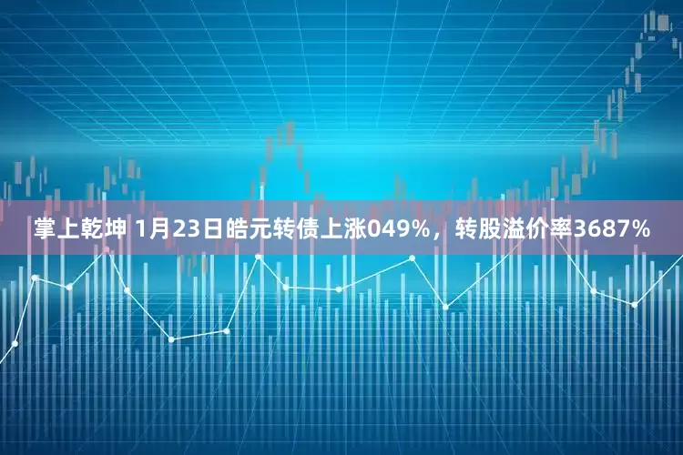 掌上乾坤 1月23日皓元转债上涨049%，转股溢价率3687%